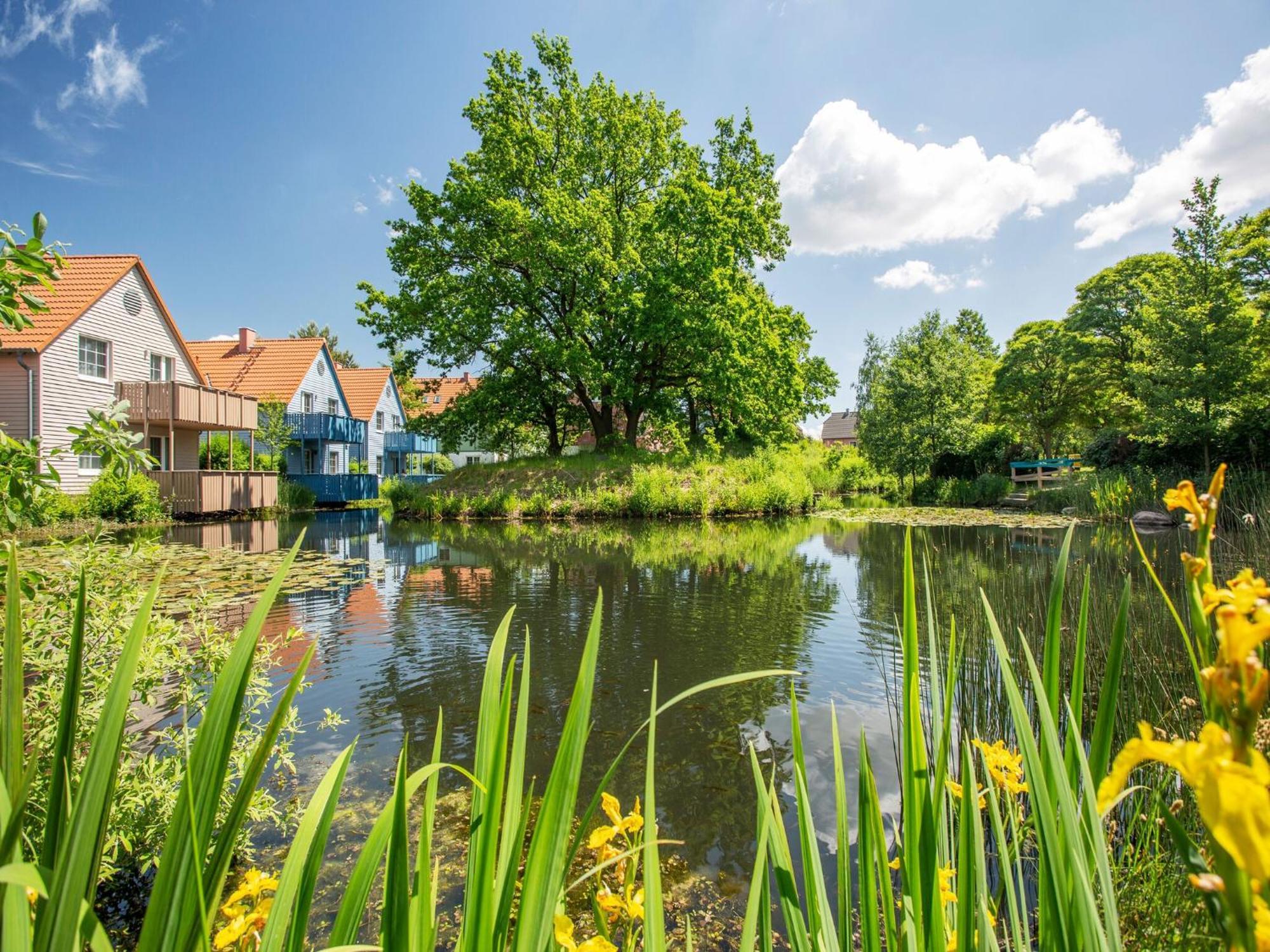 Holiday Complex Beech Resort Fleesensee G Hren Lebbin Göhren-Lebbin Eksteriør bilde